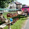 PIKNIK 2012 050